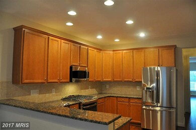 25640 Creek Run Terrace, Chantilly, VA 20152 - photo 5