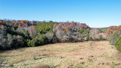 Lot 33 Sinking Springs Rd, Midway, TN 37809 - photo 5