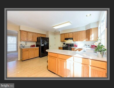 17 Brixham Ct, Stafford, VA 22554 - photo 5