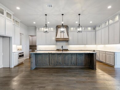 412 Royal Santana Run, Brock, TX 76087 - photo 5