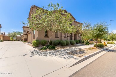 0005-Sierra 16623 - 5