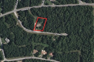 410 Cheyenne Dr, Horseshoe Bend, AR 72512 - photo 2