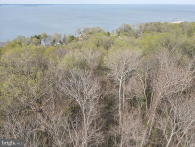 60 American Dr, Montross, VA 22520 - photo 4