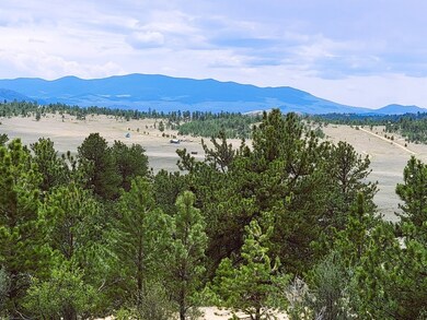 1051 Arapahoe Trail, Hartsel, CO 80449 - photo 7