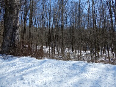 71-73 Joslyn Rd, Hardwick, MA 01037 - photo 6