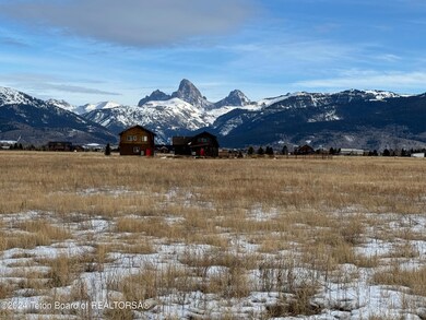 IMG_2239