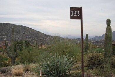 Saguaro Forest 132 9921 E Honey Mesquite