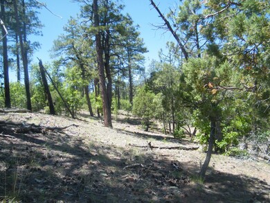 6204 N Wildcat Trail, Show Low, AZ 85901 - photo 7