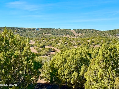 0 Kirkland Dr 20 Acres unit 258779, Concho, AZ 85924 - photo 3