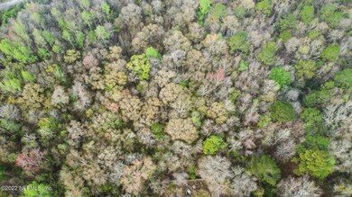 2895 Turkey Trail, Middleburg, FL 32068 - photo 3