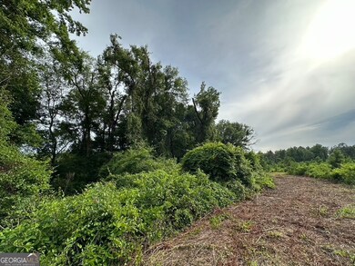 0 Bennett Colter Rd unit 10542243, Rentz, GA 31075 - photo 3