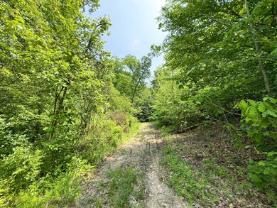 0 Maysville-Williams Rd unit 223015264, Logan, OH 43138 - photo 7