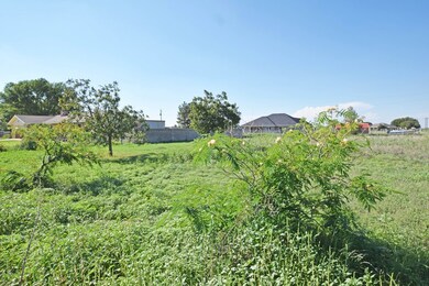 9016 W Valley Meadow Ln, Odessa, TX 79764 - photo 4