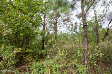 010 Attala Rd, McCool, MS 39108 - photo 6