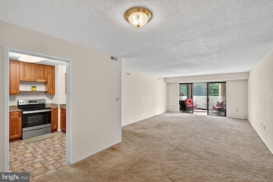 15101 Interlachen Dr unit 123, Silver Spring, MD 20906 - photo 5