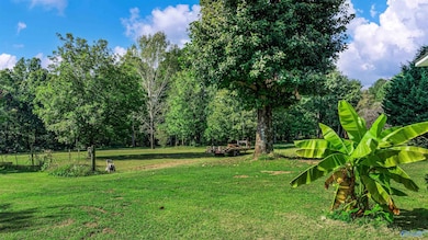 2020 Pleasant View Rd NE, Fort Payne, AL 35967 - photo 6