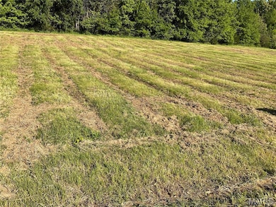 121 Red Barn Ln, Defiance, MO 63341 - photo 2