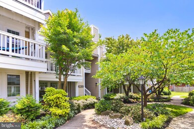 4546 28th Rd S unit 158, Arlington, VA 22206 - photo 3