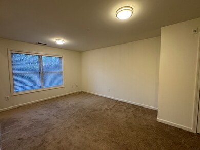 20 Orchard St unit 306, Brookfield, CT 06804 - photo 5