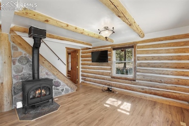 Jotul Gas Stove - Thermostatically controlled to keep you cozy