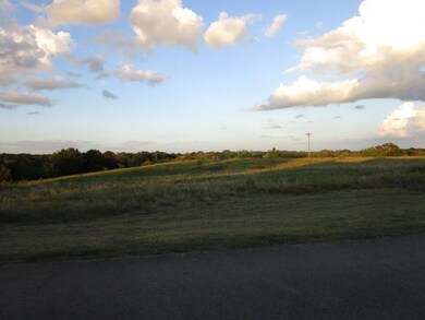 46006 White Bluff Dr, Whitney, TX 76692 - photo 2