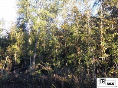 238 Garner Rd, Jonesboro, LA 71251 - photo 7