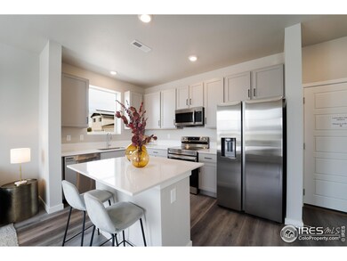 3704 Sequoia Ct, Evans, CO 80620 - photo 5