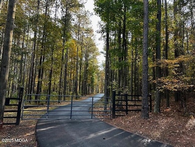 1774 Maynards Mill Rd, Forsyth, GA 31029 - photo 4