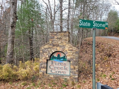 Lot 31 Poplar Cove, Hayesville, NC 28904 - photo 3