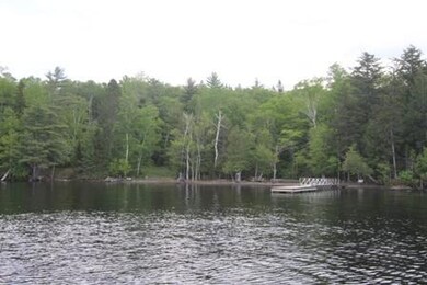 1092706moose1_f