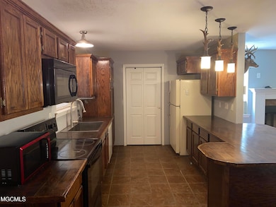 22 Elijah Ln, Perkinston, MS 39573 - photo 5