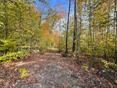 2E Mountain View Dr, Temple, ME 04984 - photo 5