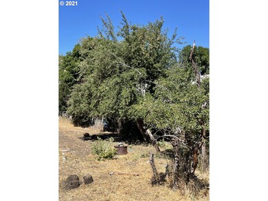 0 Washington St unit 2300, Canyon City, OR 97820 - photo 3