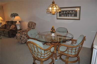 THE DINING AREA.