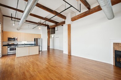 Union Lofts Condominium unit 401, Chicago, IL 60609 - photo 4