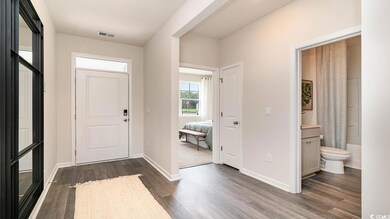 Entrance foyer with dark wood-type flooring