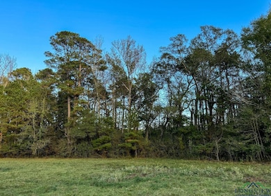 View of nature