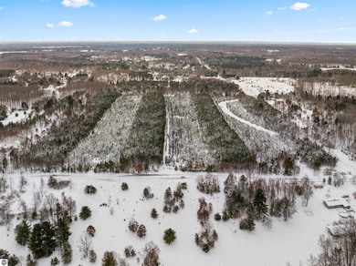 40 acres Cedar Creek Rd, Fife Lake, MI 49633 - photo 2
