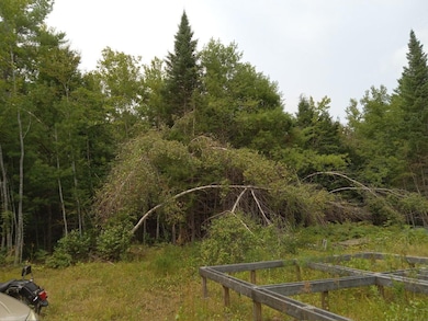 image000000(11)