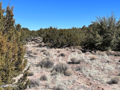 004B N7411, St. Johns, AZ 85936 - photo 7