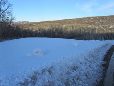 Vacant land for sale in CO borders Natio