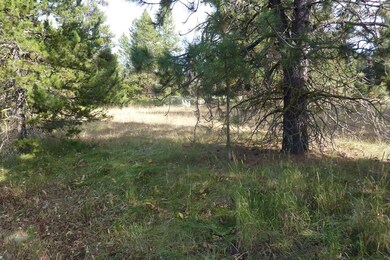 Camp or Build on This .67 Acre Lot