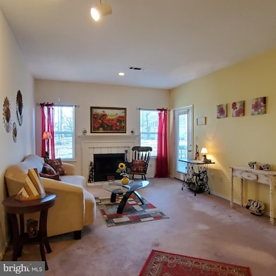 13070 Autumn Woods Way unit 103, Fairfax, VA 22033 - photo 2