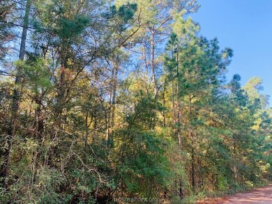 0 Sycamore Ln unit 21013469, Plantersville, TX 77363 - photo 5