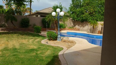 Backyard 1