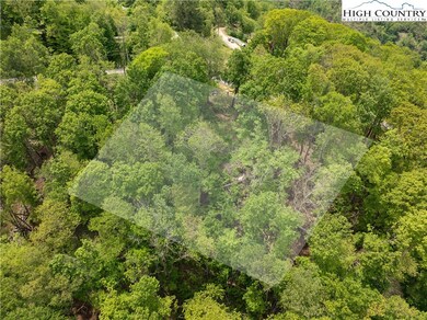 EC1 Eagle Crest Trail, Elk Park, NC 28604 - photo 7