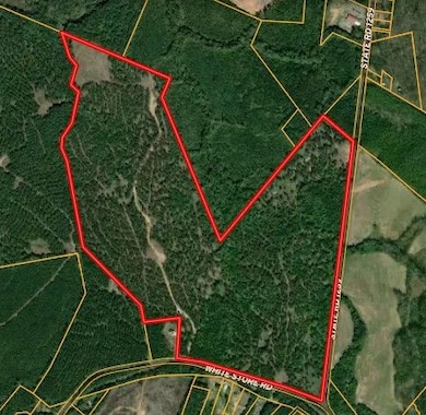 Tbd White Store Rd, Wadesboro, NC 28170 - photo 2