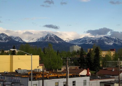 Mt Views