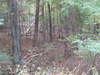 0 0 Oakland Hills, Berkeley Springs, WV 25411 - photo 5