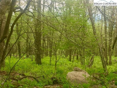 Lot View #4 - Beautiful Wooded Homesite with HUGE